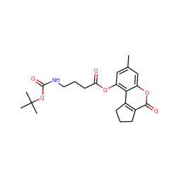 Cc1cc(OC(=O)CCCNC(=O)OC(C)(C)C)c2c3c(c(=O)oc2c1)CCC3 ZINC000002373335
