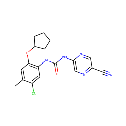 Cc1cc(OC2CCCC2)c(NC(=O)Nc2cnc(C#N)cn2)cc1Cl ZINC000063298508