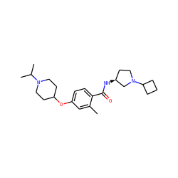 Cc1cc(OC2CCN(C(C)C)CC2)ccc1C(=O)N[C@H]1CCN(C2CCC2)C1 ZINC000653767624
