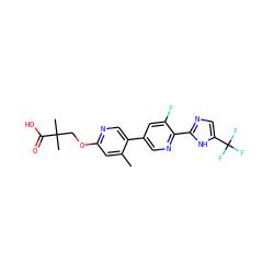 Cc1cc(OCC(C)(C)C(=O)O)ncc1-c1cnc(-c2ncc(C(F)(F)F)[nH]2)c(F)c1 ZINC000218559027