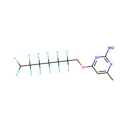 Cc1cc(OCC(F)(F)C(F)(F)C(F)(F)C(F)(F)C(F)(F)C(F)F)nc(N)n1 ZINC000008680593