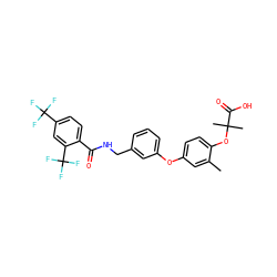 Cc1cc(Oc2cccc(CNC(=O)c3ccc(C(F)(F)F)cc3C(F)(F)F)c2)ccc1OC(C)(C)C(=O)O ZINC000028825465