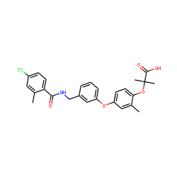 Cc1cc(Oc2cccc(CNC(=O)c3ccc(Cl)cc3C)c2)ccc1OC(C)(C)C(=O)O ZINC000028825469