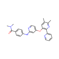 Cc1cc(Oc2ccnc(Nc3ccc(C(=O)N(C)C)cc3)c2)c(-c2ccccn2)nc1C ZINC000045300814