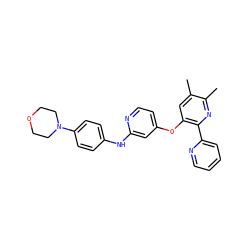 Cc1cc(Oc2ccnc(Nc3ccc(N4CCOCC4)cc3)c2)c(-c2ccccn2)nc1C ZINC000045291170