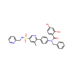 Cc1cc(S(=O)(=O)NCc2ccccn2)cnc1-c1ccc(N(Cc2ccccc2)C(=O)c2ccc(O)cc2O)cc1 ZINC000653682394