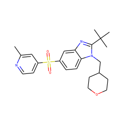 Cc1cc(S(=O)(=O)c2ccc3c(c2)nc(C(C)(C)C)n3CC2CCOCC2)ccn1 ZINC000029047920