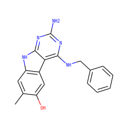 Cc1cc2[nH]c3nc(N)nc(NCc4ccccc4)c3c2cc1O ZINC001772612298