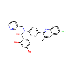 Cc1cc2cc(Cl)ccc2nc1-c1ccc(N(Cc2cccnc2)C(=O)c2ccc(O)cc2O)cc1 ZINC000653747974