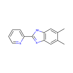 Cc1cc2nc(-c3ccccn3)[nH]c2cc1C ZINC000013679477