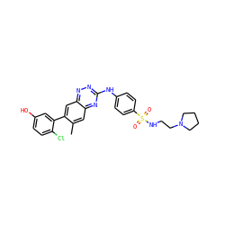 Cc1cc2nc(Nc3ccc(S(=O)(=O)NCCN4CCCC4)cc3)nnc2cc1-c1cc(O)ccc1Cl ZINC000096167787