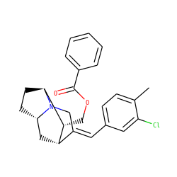 Cc1ccc(/C=C2\CN3[C@H]4CC[C@H]3[C@H](COC(=O)c3ccccc3)[C@H]2C4)cc1Cl ZINC000253697038