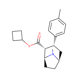 Cc1ccc([C@@H]2C[C@H]3CC[C@@H]([C@@H]2C(=O)OC2CCC2)N3C)cc1 ZINC000036271098