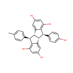 Cc1ccc([C@@H]2c3c(O)cc(O)cc3[C@H]3[C@H](c4ccc(O)cc4)c4c(O)cc(O)cc4[C@@H]23)cc1 ZINC000473088998