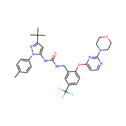 Cc1ccc(-n2nc(C(C)(C)C)cc2NC(=O)NCc2cc(C(F)(F)F)ccc2Oc2ccnc(N3CCOCC3)n2)cc1 ZINC000084687695