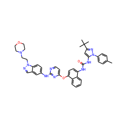 Cc1ccc(-n2nc(C(C)(C)C)cc2NC(=O)Nc2ccc(Oc3ccnc(Nc4ccc5c(cnn5CCN5CCOCC5)c4)n3)c3ccccc23)cc1 ZINC000211115571