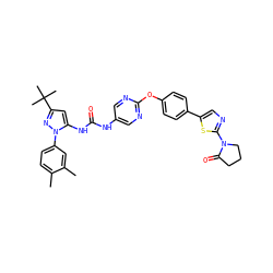 Cc1ccc(-n2nc(C(C)(C)C)cc2NC(=O)Nc2cnc(Oc3ccc(-c4cnc(N5CCCC5=O)s4)cc3)nc2)cc1C ZINC000143885738