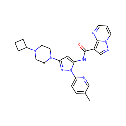 Cc1ccc(-n2nc(N3CCN(C4CCC4)CC3)cc2NC(=O)c2cnn3cccnc23)nc1 ZINC000142361722