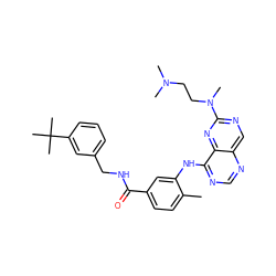 Cc1ccc(C(=O)NCc2cccc(C(C)(C)C)c2)cc1Nc1ncnc2cnc(N(C)CCN(C)C)nc12 ZINC000148062087