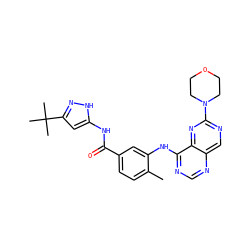 Cc1ccc(C(=O)Nc2cc(C(C)(C)C)n[nH]2)cc1Nc1ncnc2cnc(N3CCOCC3)nc12 ZINC000148335599