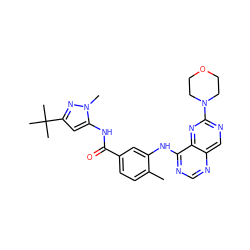 Cc1ccc(C(=O)Nc2cc(C(C)(C)C)nn2C)cc1Nc1ncnc2cnc(N3CCOCC3)nc12 ZINC000148332511