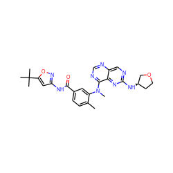 Cc1ccc(C(=O)Nc2cc(C(C)(C)C)on2)cc1N(C)c1ncnc2cnc(N[C@@H]3CCOC3)nc12 ZINC000148365101