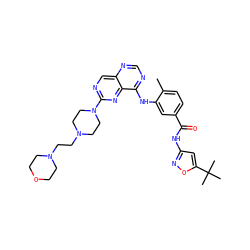 Cc1ccc(C(=O)Nc2cc(C(C)(C)C)on2)cc1Nc1ncnc2cnc(N3CCN(CCN4CCOCC4)CC3)nc12 ZINC000148266226
