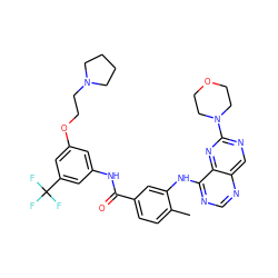 Cc1ccc(C(=O)Nc2cc(OCCN3CCCC3)cc(C(F)(F)F)c2)cc1Nc1ncnc2cnc(N3CCOCC3)nc12 ZINC000148341082