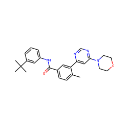 Cc1ccc(C(=O)Nc2cccc(C(C)(C)C)c2)cc1-c1cc(N2CCOCC2)ncn1 ZINC001772642008
