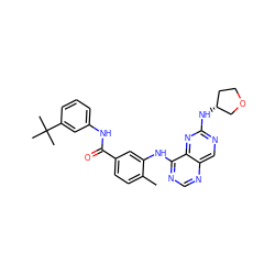 Cc1ccc(C(=O)Nc2cccc(C(C)(C)C)c2)cc1Nc1ncnc2cnc(N[C@@H]3CCOC3)nc12 ZINC000148254683