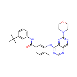 Cc1ccc(C(=O)Nc2cccc(C(C)(C)C)c2)cc1Nc1ncnc2cnc(N3CCOCC3)nc12 ZINC000148234461