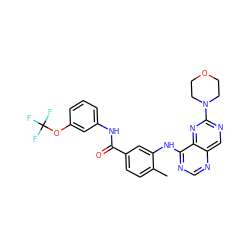 Cc1ccc(C(=O)Nc2cccc(OC(F)(F)F)c2)cc1Nc1ncnc2cnc(N3CCOCC3)nc12 ZINC000148283736