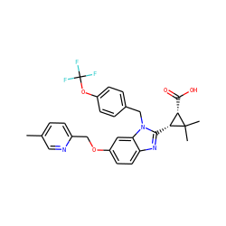 Cc1ccc(COc2ccc3nc([C@@H]4[C@H](C(=O)O)C4(C)C)n(Cc4ccc(OC(F)(F)F)cc4)c3c2)nc1 ZINC000226038711