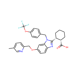 Cc1ccc(COc2ccc3nc([C@@H]4CCCC[C@@H]4C(=O)O)n(Cc4ccc(OC(F)(F)F)cc4)c3c2)nc1 ZINC000218198007