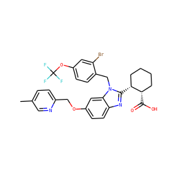 Cc1ccc(COc2ccc3nc([C@@H]4CCCC[C@@H]4C(=O)O)n(Cc4ccc(OC(F)(F)F)cc4Br)c3c2)nc1 ZINC000226048522