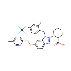 Cc1ccc(COc2ccc3nc([C@@H]4CCCC[C@@H]4C(=O)O)n(Cc4ccc(OC(F)(F)F)cc4Cl)c3c2)nc1 ZINC000226033210