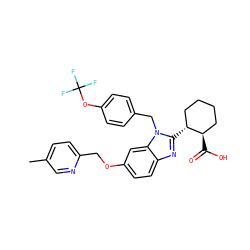 Cc1ccc(COc2ccc3nc([C@@H]4CCCC[C@H]4C(=O)O)n(Cc4ccc(OC(F)(F)F)cc4)c3c2)nc1 ZINC000218242880