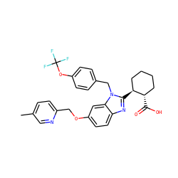 Cc1ccc(COc2ccc3nc([C@H]4CCCC[C@@H]4C(=O)O)n(Cc4ccc(OC(F)(F)F)cc4)c3c2)nc1 ZINC000226029805