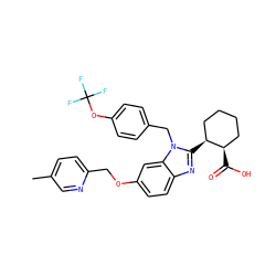 Cc1ccc(COc2ccc3nc([C@H]4CCCC[C@H]4C(=O)O)n(Cc4ccc(OC(F)(F)F)cc4)c3c2)nc1 ZINC000218197945