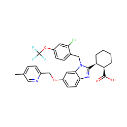 Cc1ccc(COc2ccc3nc([C@H]4CCCC[C@H]4C(=O)O)n(Cc4ccc(OC(F)(F)F)cc4Cl)c3c2)nc1 ZINC000226033246