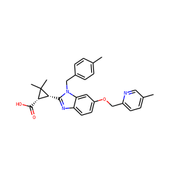 Cc1ccc(Cn2c([C@@H]3[C@H](C(=O)O)C3(C)C)nc3ccc(OCc4ccc(C)cn4)cc32)cc1 ZINC000226027751