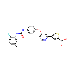 Cc1ccc(F)c(NC(=O)Nc2ccc(Oc3ccnc(-c4csc(C(=O)O)c4)c3)cc2)c1 ZINC000116235703