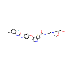 Cc1ccc(F)c(NC(=O)Nc2ccc(Oc3ccnc4cc(C(=O)NCCCN5CCO[C@H](CO)C5)sc34)cc2)c1 ZINC000220006091