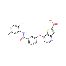 Cc1ccc(F)c(NC(=O)c2cccc(Oc3ccnc4cc(C(=O)O)sc34)c2)c1 ZINC000219991307