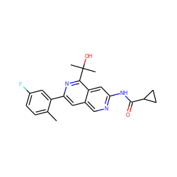Cc1ccc(F)cc1-c1cc2cnc(NC(=O)C3CC3)cc2c(C(C)(C)O)n1 ZINC000144357682