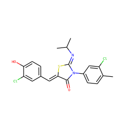 Cc1ccc(N2C(=O)/C(=C/c3ccc(O)c(Cl)c3)S/C2=N\C(C)C)cc1Cl ZINC000049089573