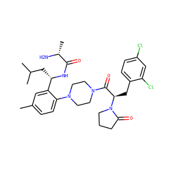 Cc1ccc(N2CCN(C(=O)[C@@H](Cc3ccc(Cl)cc3Cl)N3CCCC3=O)CC2)c([C@H](CC(C)C)NC(=O)[C@@H](C)N)c1 ZINC000028823922