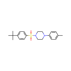 Cc1ccc(N2CCN(S(=O)(=O)c3ccc(C(C)(C)C)cc3)CC2)cc1 ZINC000029044879