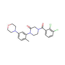 Cc1ccc(N2CCOCC2)cc1N1CCN(C(=O)c2cccc(Cl)c2Cl)CC1=O ZINC000059286399