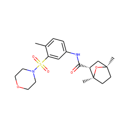 Cc1ccc(NC(=O)[C@@H]2C[C@@]3(C)CC[C@]2(C)O3)cc1S(=O)(=O)N1CCOCC1 ZINC000040979373
